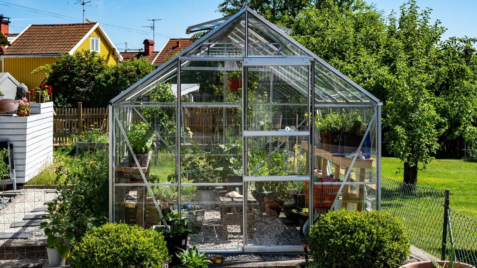 What to Develop inside the Greenhouse in January