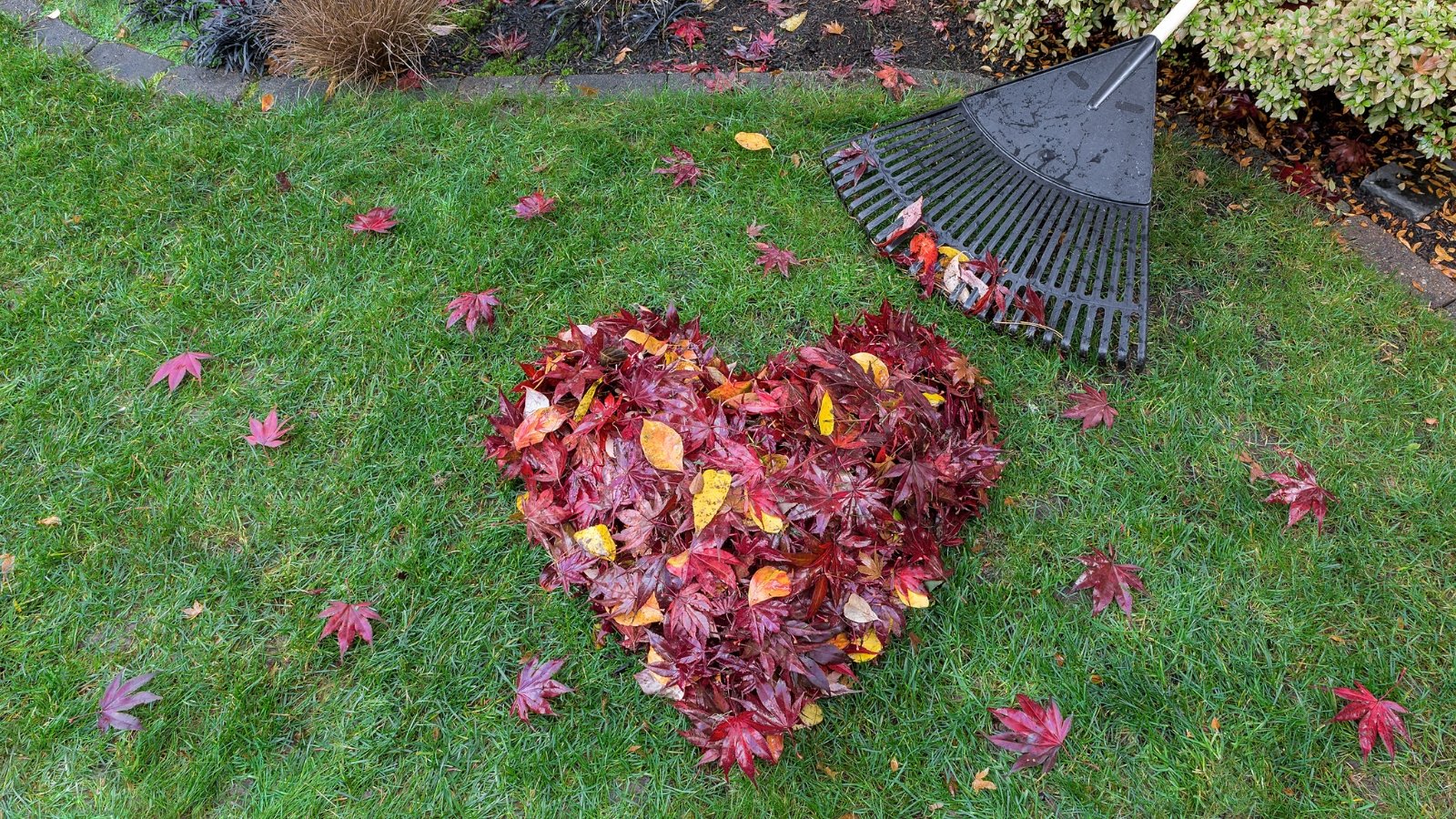 Learn to Depart the Leaves in Your Yard With out Creating A Mess: 7 Concepts