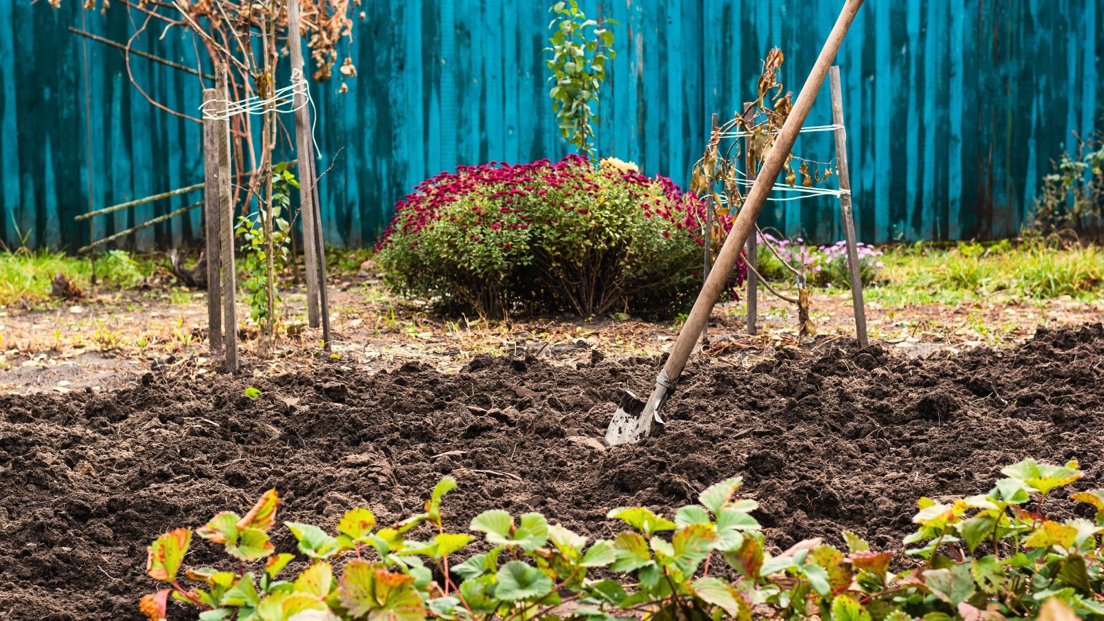 How To Put collectively Subsequent 12 months’s Yard Beds for Planting Now